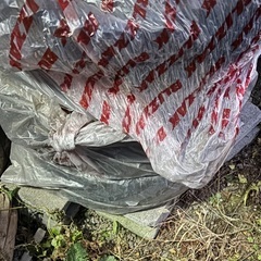 日本製ダンロップ14R タイヤの画像