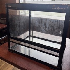 Repro545 爬虫類ケージ ガラスケージの画像