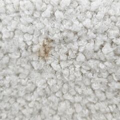 ✨️ジモティー割引✨️【ジャングルジャングル堺初芝店】　現状販売　キャスター付き　椅子　ボア生地　堺市（東区　西区　北区　南区　堺区　美原区）高石市　泉大津市　忠岡町　和泉市　松原市　大阪狭山市の画像