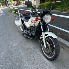 RZ250の画像