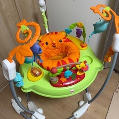 レインフォレスト・ジャンパルー2 フィッシャープライスの画像