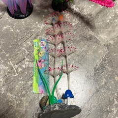 水槽オブジェの画像