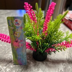 水槽オブジェの画像