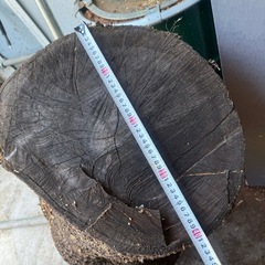 桜の木差し上げます。の画像