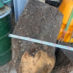 桜の木差し上げます。の画像