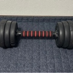 ダンベル（10kg×2）、トレーニングベンチ、懸垂バー　セットの画像