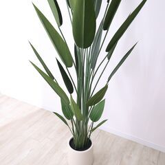 【未使用品】【かなり大型】光触媒 大型フェイクグリーン レギネ 195cm リアル 存在感抜群 人工観葉植物の画像