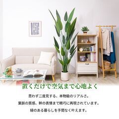 【未使用品】【かなり大型】光触媒 大型フェイクグリーン レギネ 195cm リアル 存在感抜群 人工観葉植物の画像