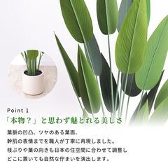 【未使用品】【かなり大型】光触媒 大型フェイクグリーン レギネ 195cm リアル 存在感抜群 人工観葉植物の画像