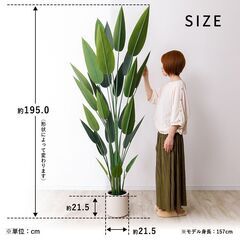 【未使用品】【かなり大型】光触媒 大型フェイクグリーン レギネ 195cm リアル 存在感抜群 人工観葉植物の画像
