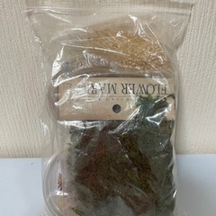 ドライフラワー　の画像