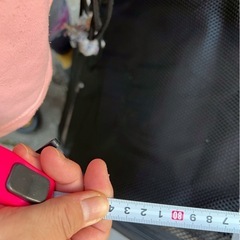 大型犬用カートの画像