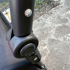 大型犬用カートの画像