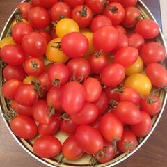 決まりました(*^^*)感謝　③ラスト1名様　🍅ミニトマト1kg 2800円相当 　野菜　果物の画像