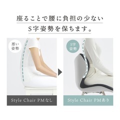 Style PREMIUM Series 骨盤サポートチェア の画像
