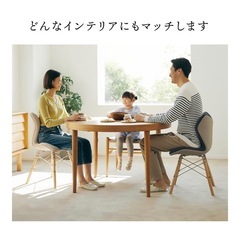 Style PREMIUM Series 骨盤サポートチェア の画像