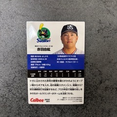 赤羽由紘 東京ヤクルトスワローズ プロ野球チップスカード 2025 第2弾の画像