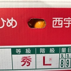 愛媛県産蜜柑1箱の画像