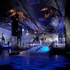 40・50代 博物館♪ ～1人参加～【上野】💖