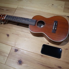 ギタレレ(ミニギター)　Aria ATU-120/6の画像