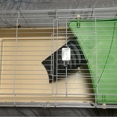 ペット　ケージ　小動物　うさぎ　ハリネズミの画像