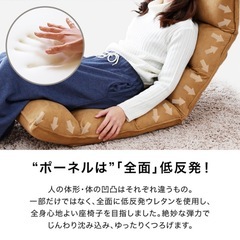 LOWYA（ロウヤ） 1億円座椅子の画像