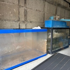 水槽と物入れの画像