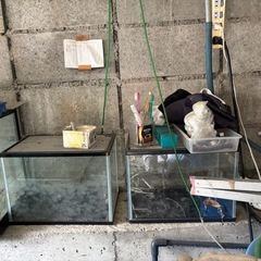 水槽と物入れの画像