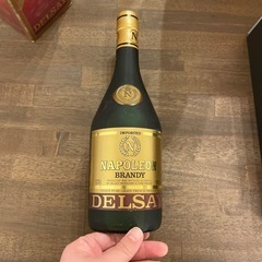 naporeonn DELSAYの画像