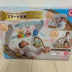 スマート知育ジム&ウォーカーの画像