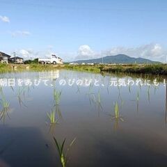  西蒲区産玄米30kg農薬・無化学肥料令和7年産】40年続く自然農法米！健康を願う農家の自信作 地方発送 送料込の画像