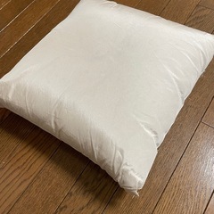 ヌードクッションの画像