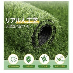 人工芝　　30㎝　穴隠し　新品　防草シートの画像