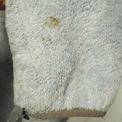 【ジャケット⑨】ザ・ノースフェイス　フリースの画像