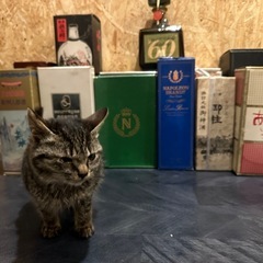 お酒コレクションです。の画像