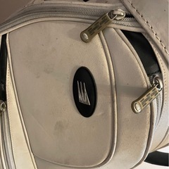ゴルフキャディバッグ⛳️アイアン8本セットの画像