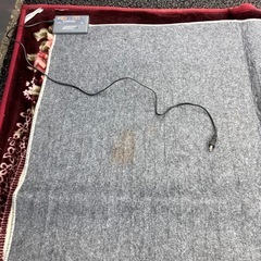 早い者勝ち　175×175 ニトリホットカーペット汚れ有りますの画像