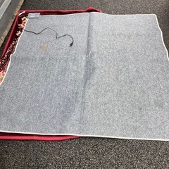 早い者勝ち　175×175 ニトリホットカーペット汚れ有りますの画像