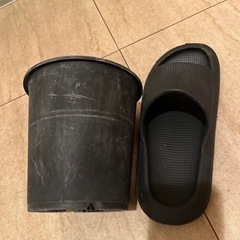 鉢植え　　の画像