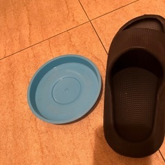 鉢植え　　の画像