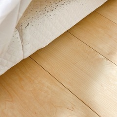 差し上げます★10センチ厚　マットレス　ダブル　シングルセット　伝説の毛布敷きパッドシングル➕ダブルサイズの画像