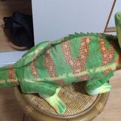 カメレオン縫いぐるみの画像