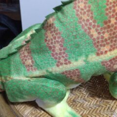 カメレオン縫いぐるみの画像