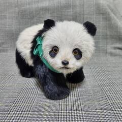 【神奈川県・大和市】パンダ置物の画像