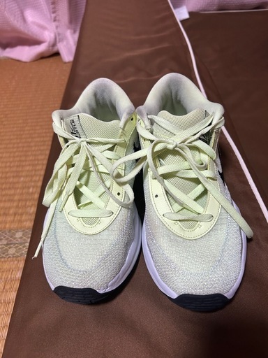 靴/バッグ NIKE