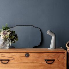 【新品】スタイルスチーマー XRS-D010 グレー ±0 プラスマイナスゼロ ハンガースチーマー 除菌・脱臭・アレル物質除去 プレス2Way仕様の画像