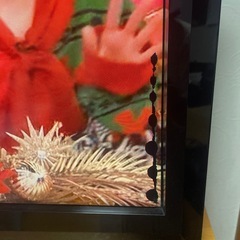 TOSHIBA REGZAの画像