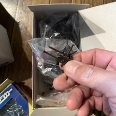 コースレット クギ等の画像