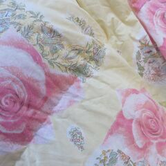 西川　NISHIKAWA最高級羽毛布団　ダウン　190x210cm シングル ダウン90%  布団カバー付きの画像