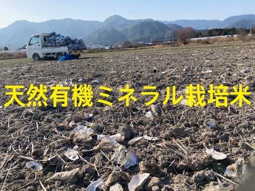 新米めっちゃ美味いコシヒカリ　玄米30kg